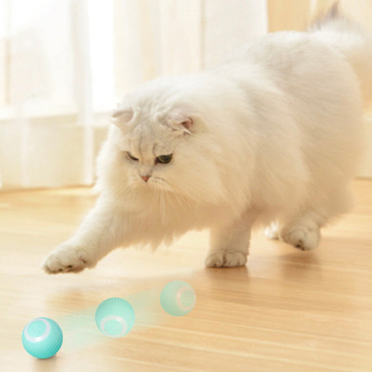 PetZenHaven-Rechargeable Self-Moving Interactive Pet Toy